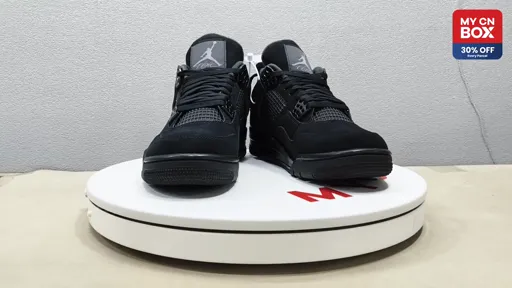 GX AJ4 Black Cat