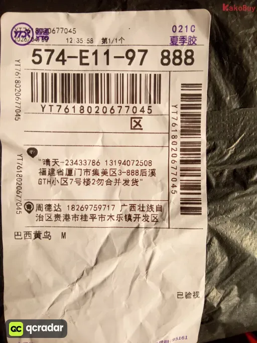 巴西黄色小鸟特别版