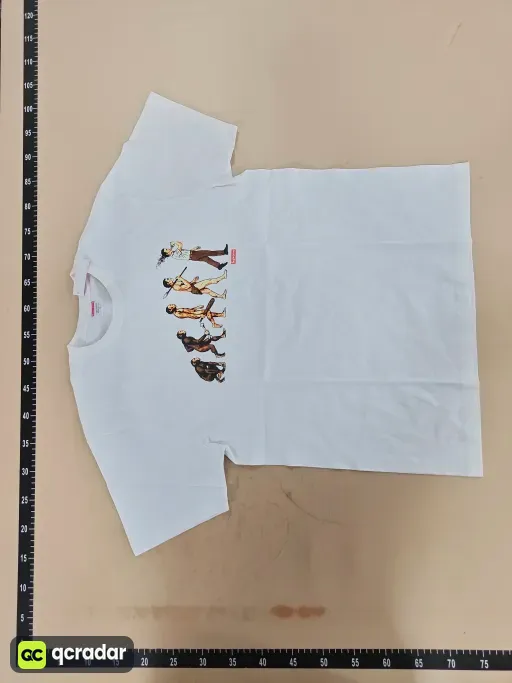 __qc_other__ d:2026-09-26