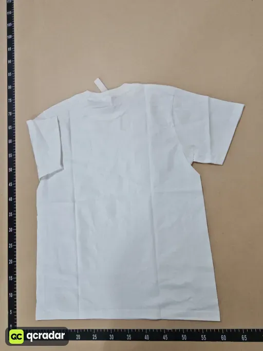 __qc_other__ d:2026-09-21