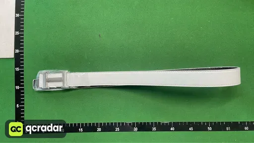 白色银扣