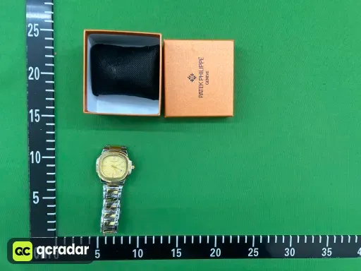 百达手雷磨砂壳间金金面