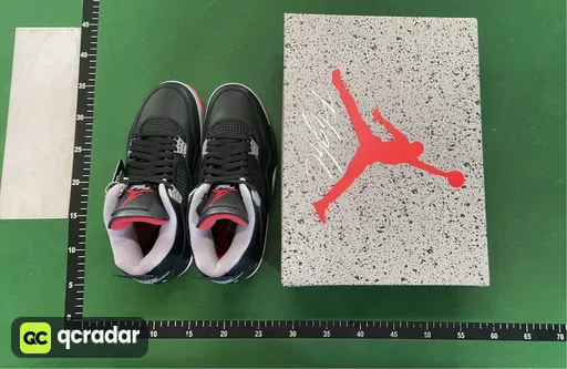 BRED2.0 皮公牛