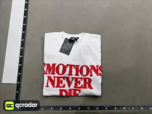 __qc_other__ d:2026-07-06