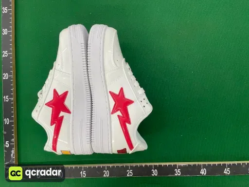 1F70291004  白鲨鱼